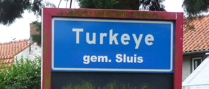 Turkeye in Zeeuws Vlaanderen