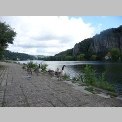 klik op foto voor vergroting
en diapresentatie